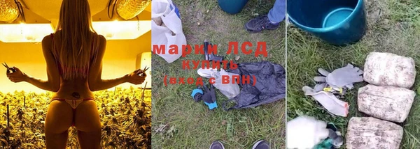PSILOCYBIN Алексеевка