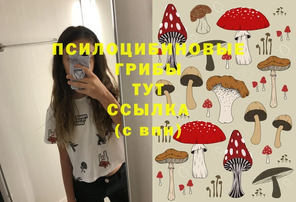 мет Алзамай