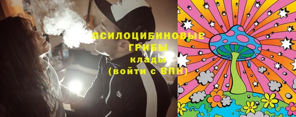 PSILOCYBIN Алексеевка