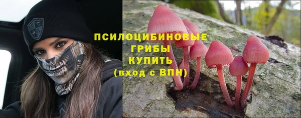 PSILOCYBIN Алексеевка