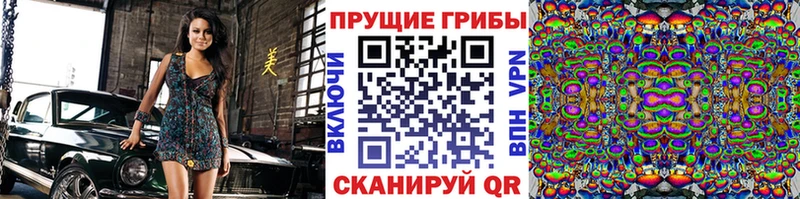 магазин  наркотиков  Щигры  Галлюциногенные грибы прущие грибы 